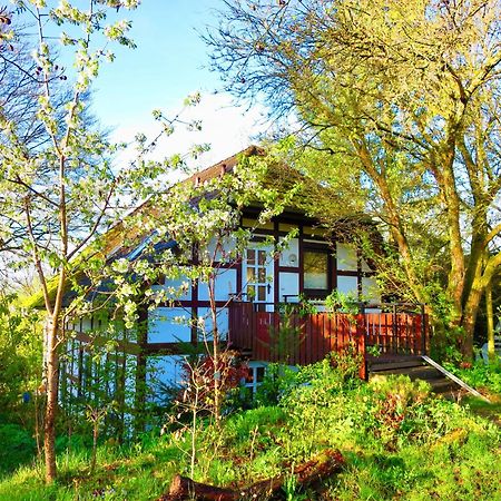 Natururlaub Frankenau Екстериор снимка